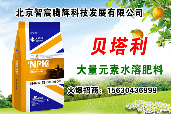 2020��Nʲôˎ����ٍ�X���Nֲˎ�����a�N������Щˎ���зNֲǰ����