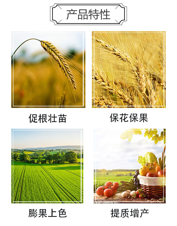 ���}��⛱��������(y��u)���-������(y��u)��_03