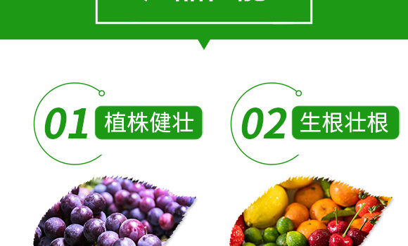 有機(jī)水溶肥料-忠誠鎂-先益農(nóng)_06