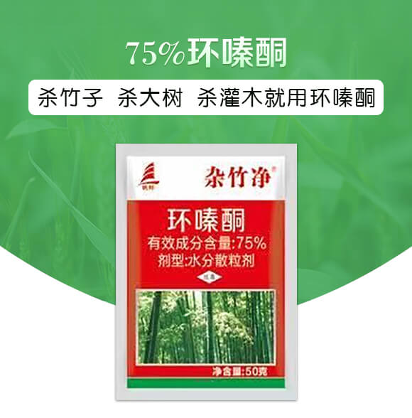 75%�h(hu��n)�ͪ��50�ˣ�-�s���-ϲ�S��_01