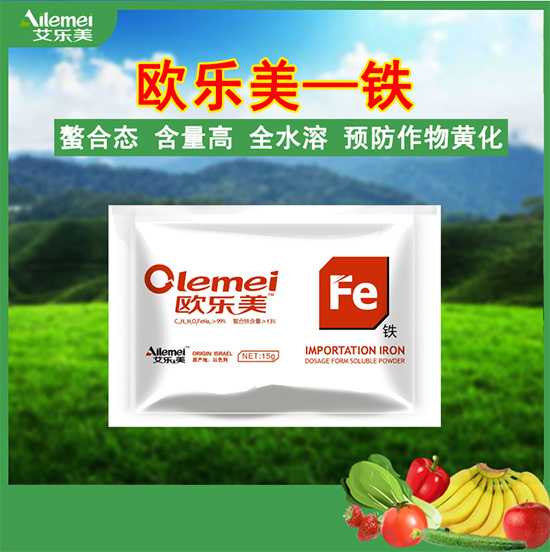 �W�����F��-������2