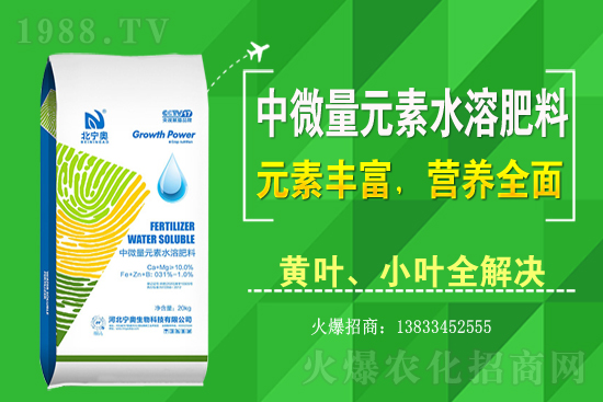 �S����ԓ��ô�Nֲ���S���˷Nֲ�^����ע����Щ���}��