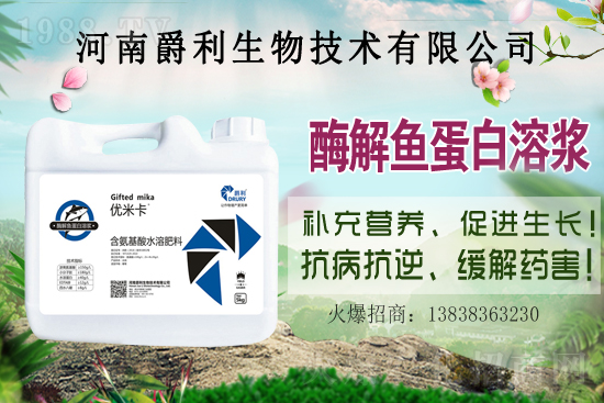 ���Ϟ�ʲôҪ���ɫ����(y��ng)ԓ����xُ�m�ϵ��ɫ������