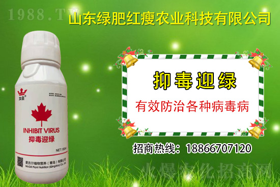 ���β�������Ҳ���ð������ֶ�ӭ�G�����β�������