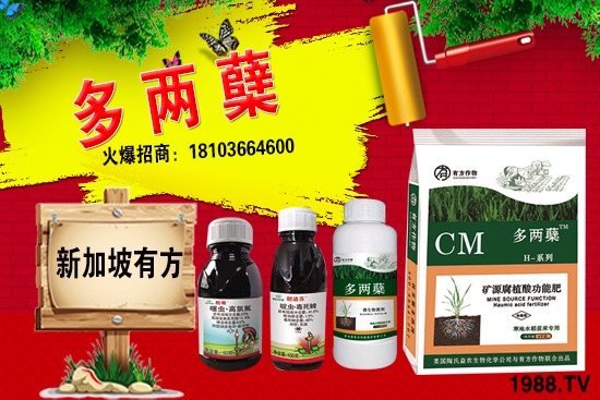 2021葡萄柚種植前景如何？葡萄柚和普通柚子有何區(qū)別？