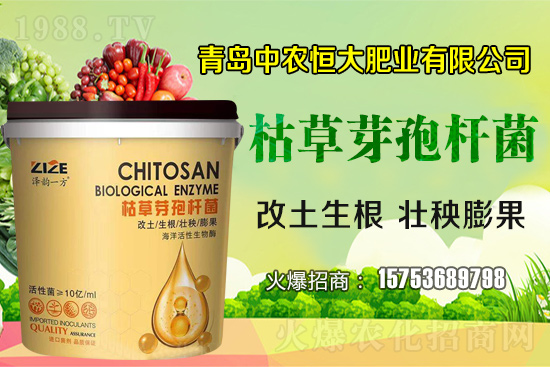 �ݲ�ѿ�ߗU������ǡ����С������ݲ�ѿ�ߗU�����w�������˽����