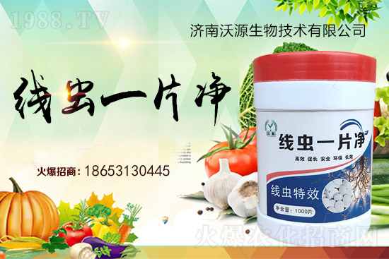 ���Y(ji��)���x�y���������ξ��x�����xһƬ����