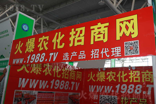 ��s������2021ɽ�|ֲ�������𱬾W(w��ng)��������ʢ�e��