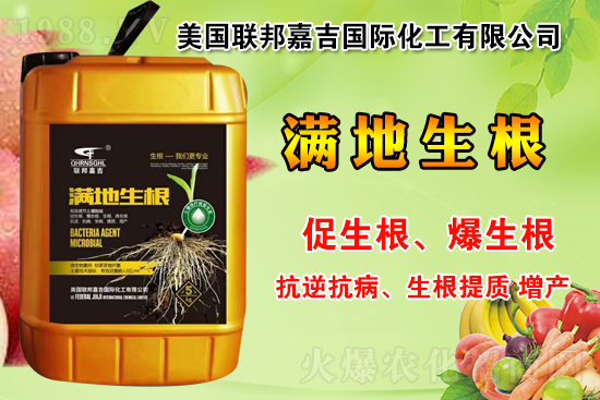 聯(lián)邦嘉吉怎么樣，聯(lián)邦嘉吉有哪些特色？公司暢銷產(chǎn)品有哪些？