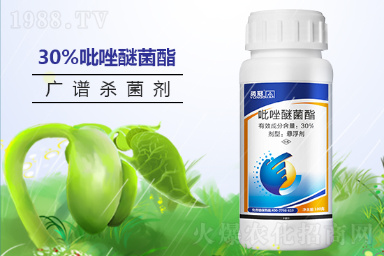 �¹چ̵��ٺ�1988.TV���T�����x�ͣ�