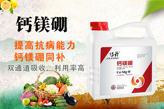 合作關(guān)系再升華！山東萬瑞谷德續(xù)約1988.TV！