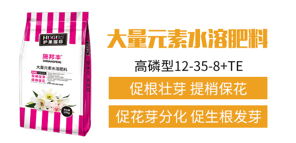 護(hù)果國(guó)際3_02