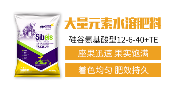 �����ɭ�����＼�g���޹�˾_03