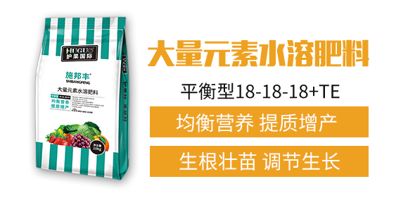 �o�����H1_02