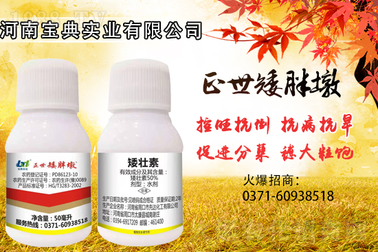 С���������ݲ��ɓ������I(y��)������Ч��������