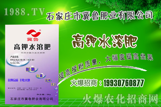 2021��2��4�վֲ������r(ji��)���(b��o)��