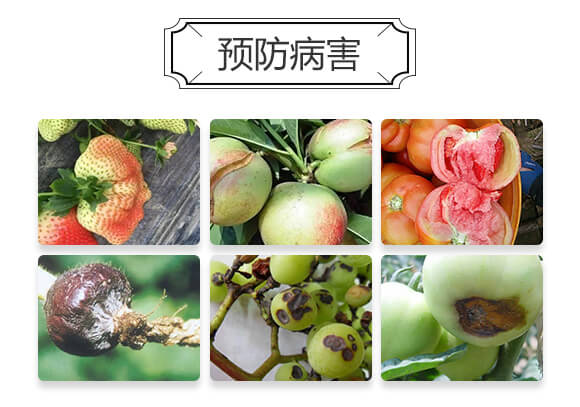 �����}-������-�²��r�I(y��)_03