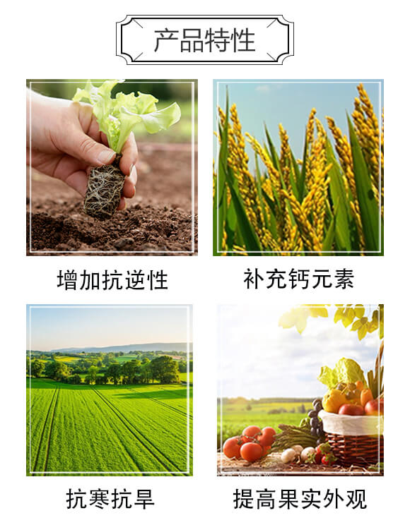 �����}-������-�²��r�I(y��)_02