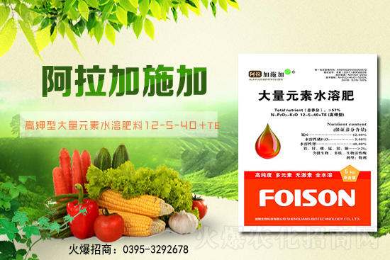 2��6��ȫ��С����r��С���r��ͻ��1.57Ԫ/��