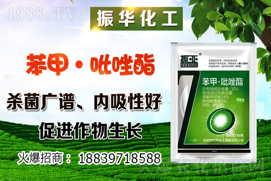 ���ԓ��ô�Nֲ������Nֲ�������h(hu��n)��Ҫ����