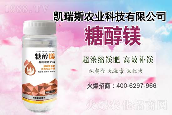 馬鈴薯噴什么葉面肥結(jié)果多？馬鈴薯種植條件及管理！