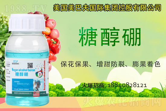 ���յ��ȶ����Xһ����2021�굾�ȃr���Ƿ�߀���q��