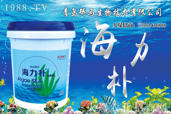 ѩ����r(ji��)������Xһ�ã�2021��Nֲѩ����ٍ�X����