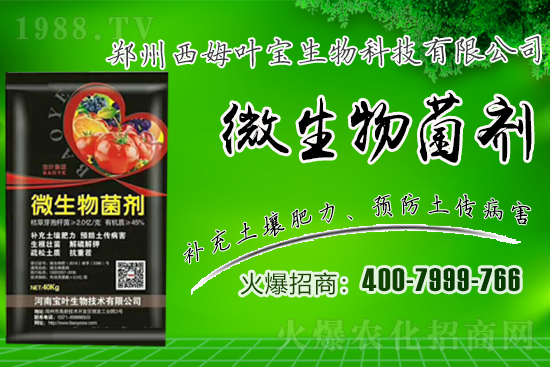 �����m��¶��������߲�Ʒ�N����Щ������Щ�Nֲע�������