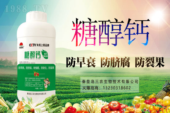 2021年3月19日主產區(qū)今日小麥價格