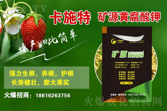 ���ջ����r������Xһ����2021��3��19�ջ����r������