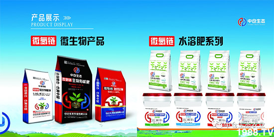 ���˟o(w��)ζ���ϲ����������㡱�ǻ����ǵĵ���