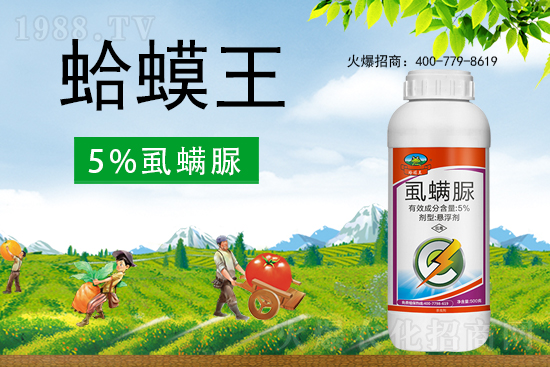 ʭ����������ô�������x���c��ʲô��