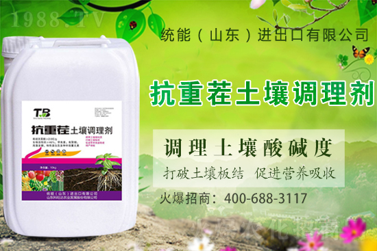 板栗種植怎么選苗子？板栗種植管理要點(diǎn)！