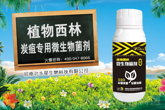 �࿹ù�ؚ������r���߄�2021��3��8��