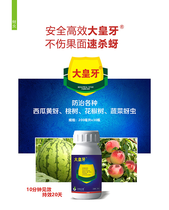 ����� ����֮��3