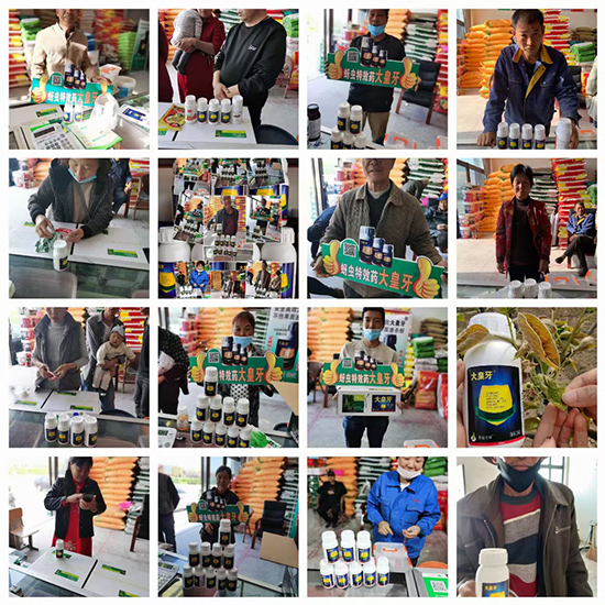 ����� ����֮��1