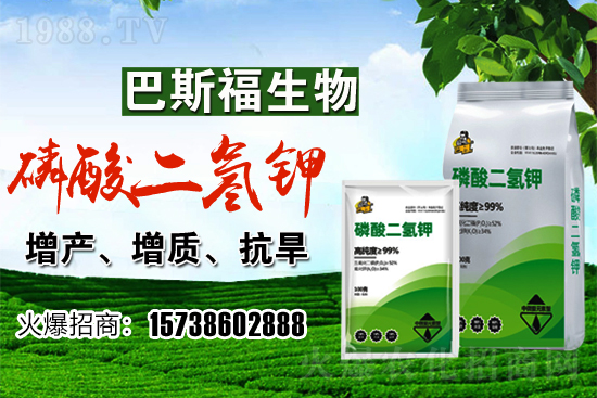 С���r(ji��)��F(xi��n)�ڶ����Xһ�������������߄�(sh��)�����