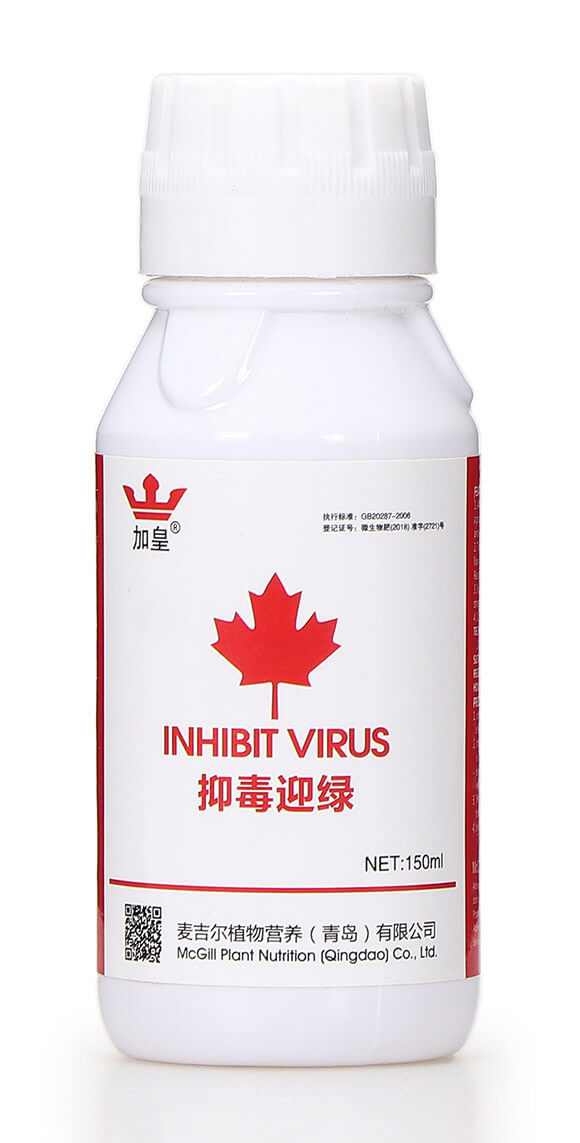 抑毒迎綠（專治病毒?。?綠肥5