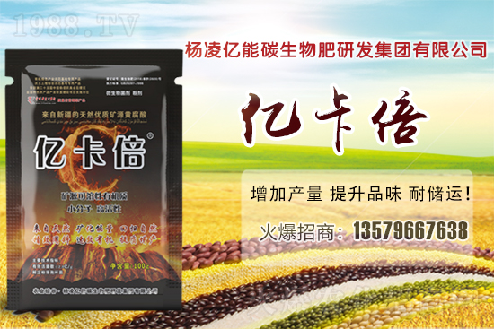 菠蘿蜜產(chǎn)地在我國哪些省份？菠蘿蜜有哪些常見品種？