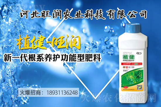 �{ݮ������ô�Nֲ���{ݮ����ķNֲ���޼����ݼ��g(sh��)��