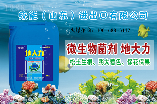 ɽ�|�y(t��ng)���ٺ�1988.TV���y�ִ����������E��