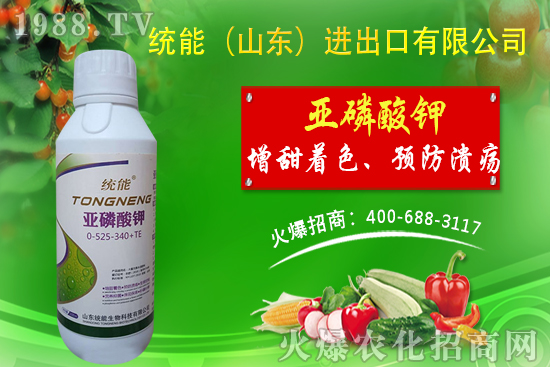 ɽ�|�y(t��ng)���ٺ�1988.TV���y�ִ����������E��