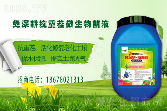 �����P(gu��n)ϵ�����A���ﲩʿ���F(tu��n)�m(x��)�s1988.TV�����\�����°l(f��)չ��