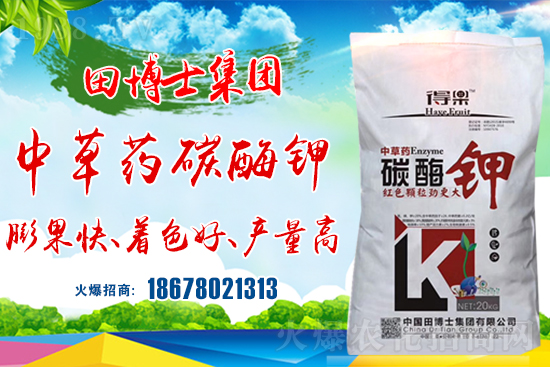 �����P(gu��n)ϵ�����A���ﲩʿ���F(tu��n)�m(x��)�s1988.TV�����\�����°l(f��)չ��