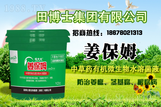 �����P(gu��n)ϵ�����A���ﲩʿ���F(tu��n)�m(x��)�s1988.TV�����\�����°l(f��)չ��