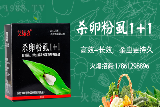     �����r(n��ng)�I(y��)�ٶȔy��1988.TV���y�ֹ���(chu��ng)��(zh��n)����