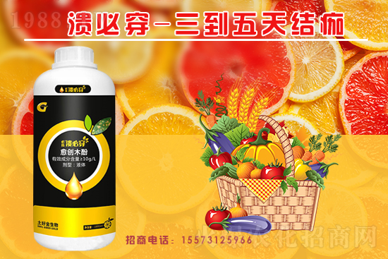 �����P(gu��n)ϵ�����A�����ý������ٺ�1988.TV������(chu��ng)���x����