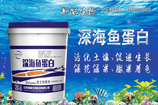 ����ף�R���������ٺ�1988.TV���_(k��i)���W(w��ng)�j(lu��)������ģʽ��