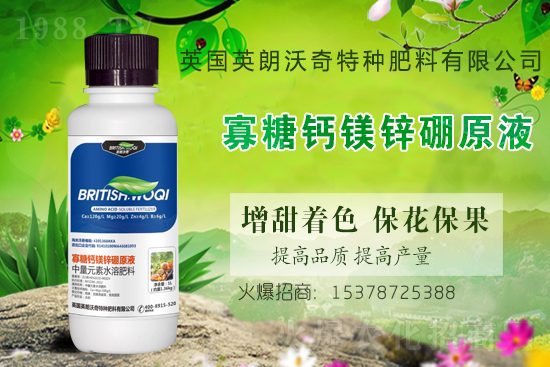 Ӣ������ɹ����s1988.TV���y�ֹ���(chu��ng)��(zh��n)����