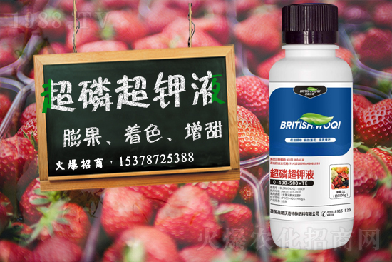 Ӣ������ɹ����s1988.TV���y�ֹ���(chu��ng)��(zh��n)����